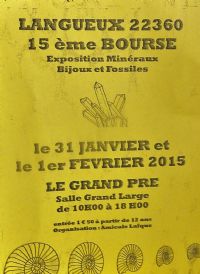 15ème Bourse exposition  de minéraux et fossiles de Langueux Côtes D’Armor. Du 31 janvier au 1er février 2015 à Langueux. Cotes-dArmor.  10H00
